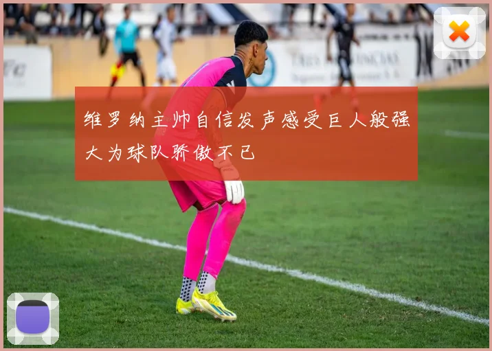 维罗纳主帅自信发声感受巨人般强大为球队骄傲不已
