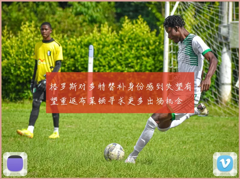 格罗斯对多特替补身份感到失望有望重返布莱顿寻求更多出场机会