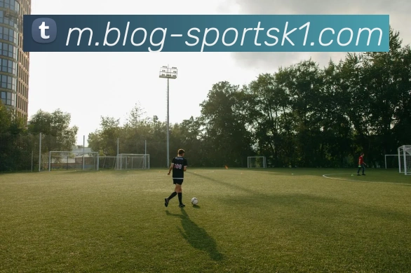 k1体育APP 封面图